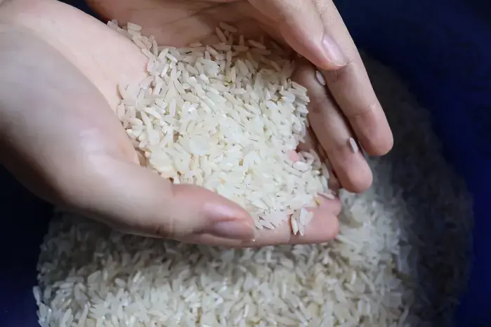 Gremios arroceros de Chiriquí manifestaron su apoyo a las recientes decisiones del MIDA y el IMA que buscan frenar las importaciones de arroz en tiempos clave, asegurar el abastecimiento nacional y dar estabilidad a los productores panameños.