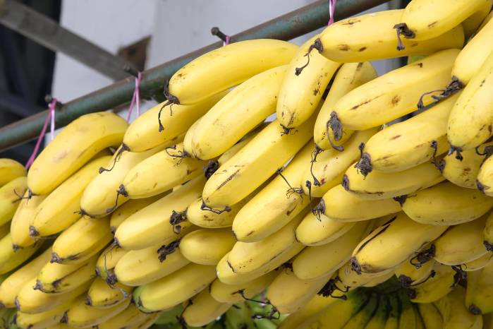Chiquita en noviembre de 2025 había iniciado la firma de contratos directos con miras al reinicio de la producción y exportación de fruta en enero de 2026, y con la meta de contar con 5 mil trabajadores en febrero.