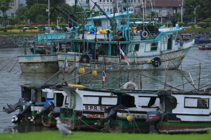 Aquí se puede apreciar, de forma ilustrativa, embarcaciones de palangre y artesanales en el Mercado del Marisco