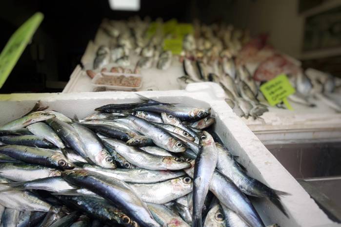 La pérdida de algunas especies pesqueras podría ocasionar una alza de precios.