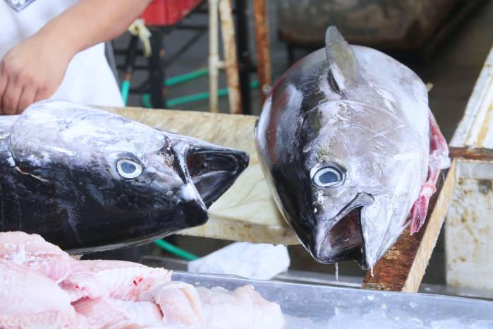 Atún en venta en el mercado del marisco, estas especies se obtienen mediante la pesca con palangre.