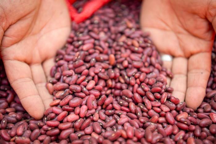 El proyecto también busca beneficiar a la economía local.