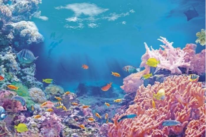 La Ley No. 560 corresponde al proyecto de ley No. 571, aprobado en tercer debate por la Asamblea Nacional este 7 de septiembre.
