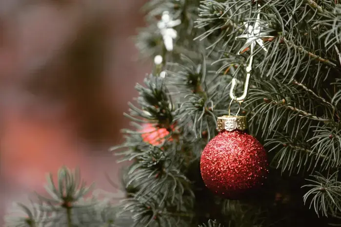Se exceptúan de esta norma los servicios postales, el Cuerpo de Bomberos de Panamá y el Sistema Nacional de Protección Civil.