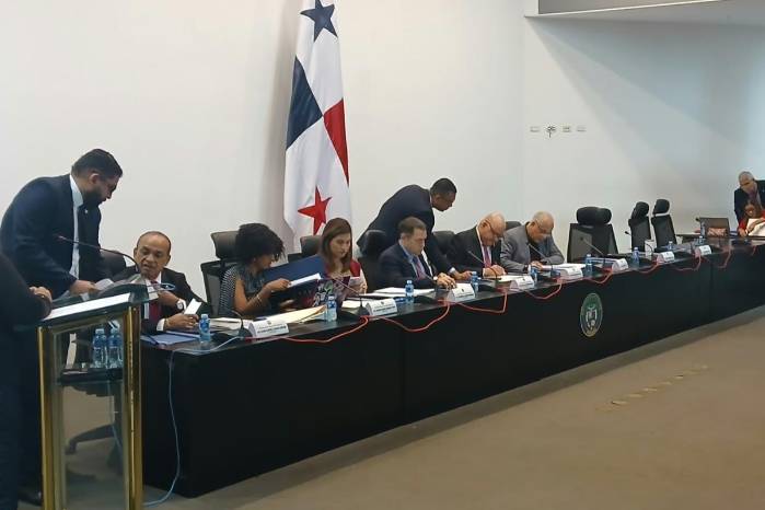De los 41 circuitos planteados, 30 serían uninominales y elegirían un diputado cada uno.