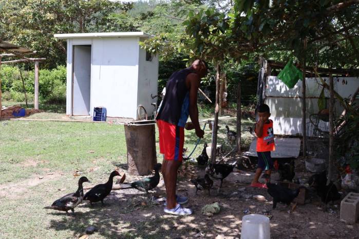 Las gallinas y los patos permanecen en la propiedad de Alberto Guerrel, quien tuvo que abandonar la casa donde vivió durante nueve años con sus tres hijos tras los daños que causó el terremoto.