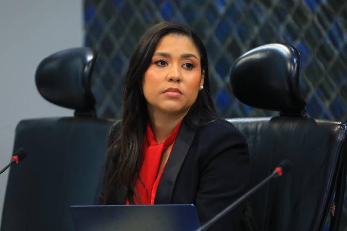 Yamireliz Chong, diputada