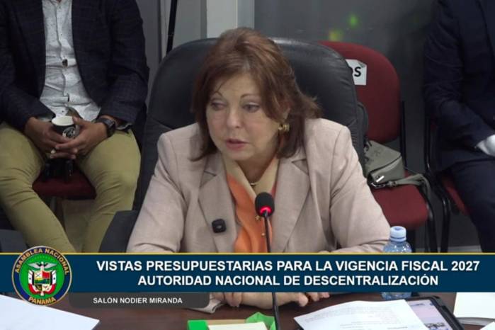 La directora de Descentralización, Roxana Méndez, explicó ante los diputados la ruta de las denuncias relacionadas con el uso de fondos públicos.