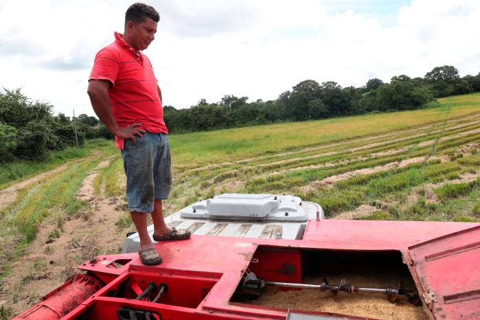 . Por el momento, no hay cifras específicas que permitan determinar el alcance de las afectaciones en la agricultura y la ganadería.