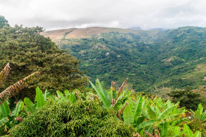 En mi querida tierra chorrerana, los hijos de la banda sanchista, sienten complacencia.