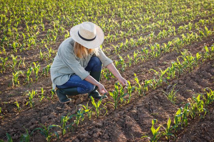 Construir sistemas agroalimentarios resilientes protegiendo nuestros ecosistemas