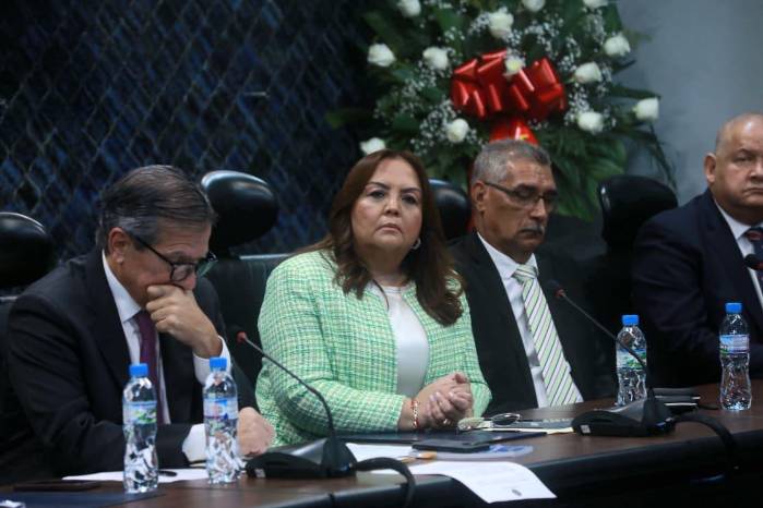 La diputada Dana Castañeda asumió la presidencia de la Comisión de Credenciales este miércoles 13 de agosto.