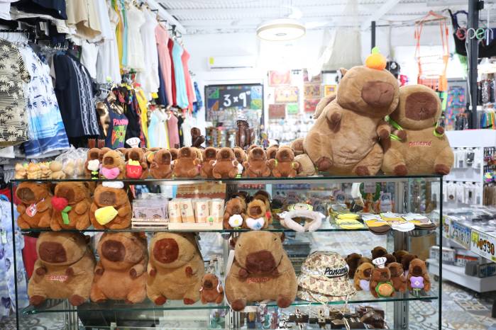 Una estantería con gorras, llaveros, pines y medias de capibaras.