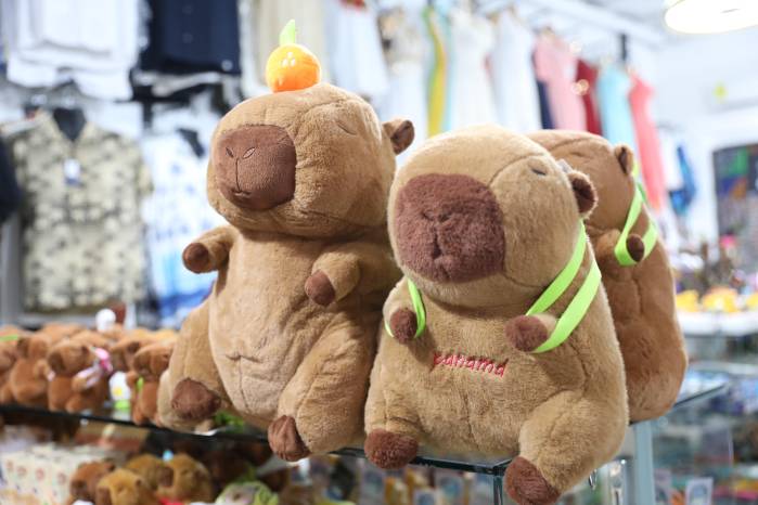 Los peluches de capibaras llenan por completo las estanterías de los almacenes de Panamá.
