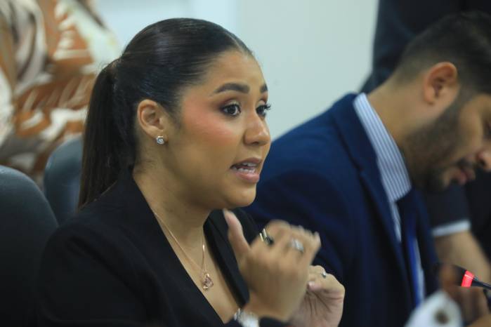 La diputada Yamireliz Chong