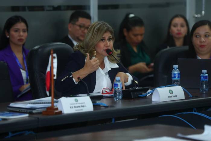 La directora de la Senniaf explicó que los 24 abogados disponibles no se limitan a representar a la institución durante las audiencias celebradas en diferentes puntos del país.