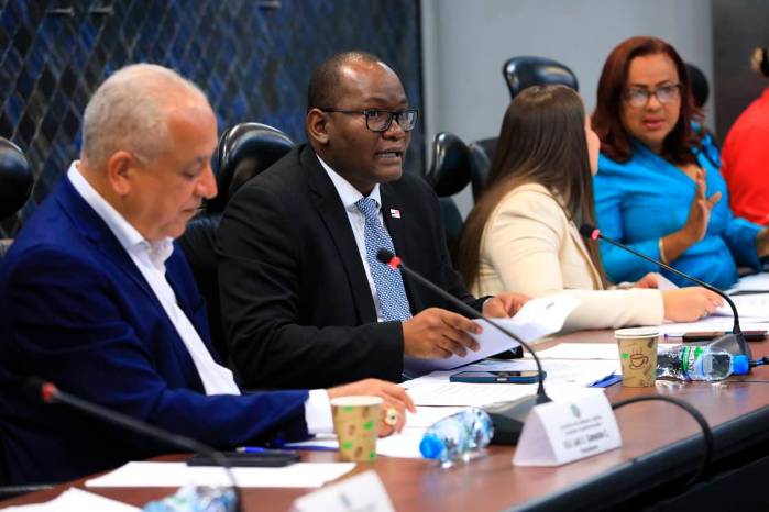 El diputado Raphael Buchanan (PRD) expone sus consideraciones sobre el uso del reglamento interno durante el primer debate del Proyecto de Ley 374. El comisionado abandonaría la sesión antes de la votación decisiva.