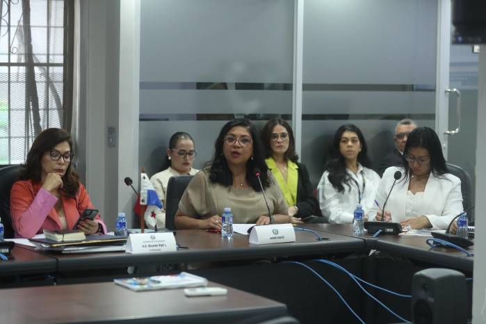 Soraya Valdivieso, administradora de la Aduanas, este lunes, en la Comisión de Presupuesto de la Asamblea