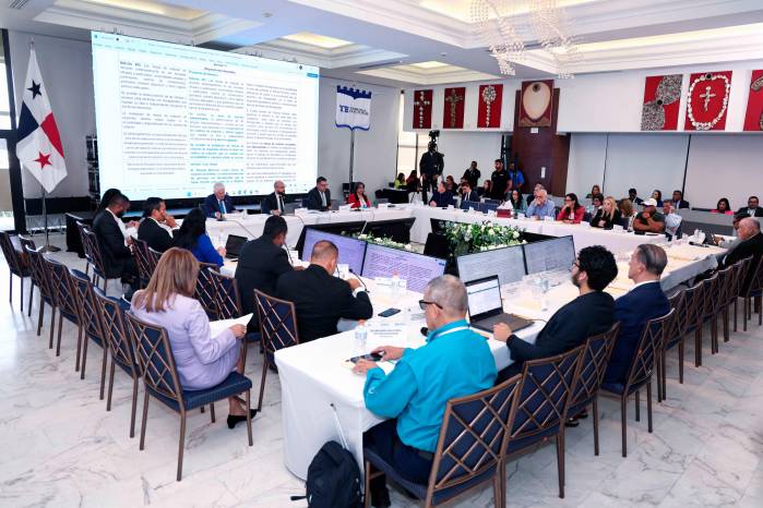 El debate sobre nulidades y revocatorias generó posiciones encontradas dentro de la CNRE.