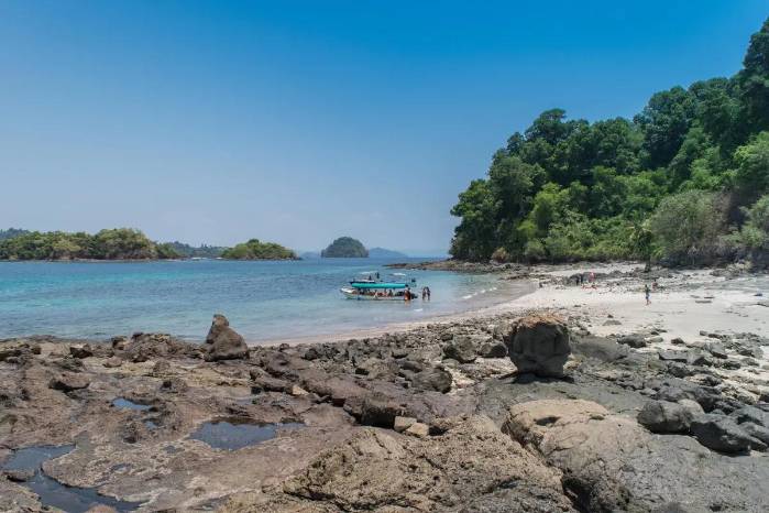 Los firmantes sostienen que devolver a la isla su función penitenciaria representaría un retroceso ambiental e histórico, además de exponer a Panamá a cuestionamientos internacionales por parte de la Unesco.