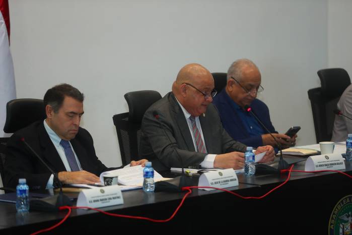 Diputados aprueban reformas al Código Electoral en primer debate