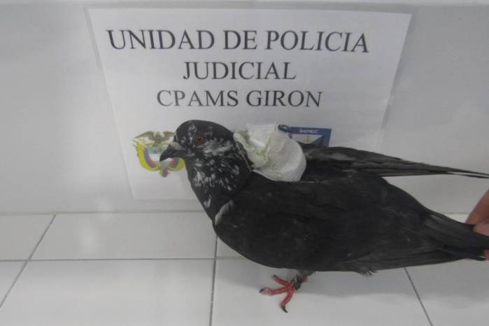 El Instituto Nacional Penitenciario y Carcelario de Colombia mantiene los controles necesarios para evitar el ingreso de sustancias.