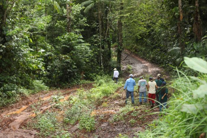 El recorrido se dio en lo alto del bosque de Portobelo.