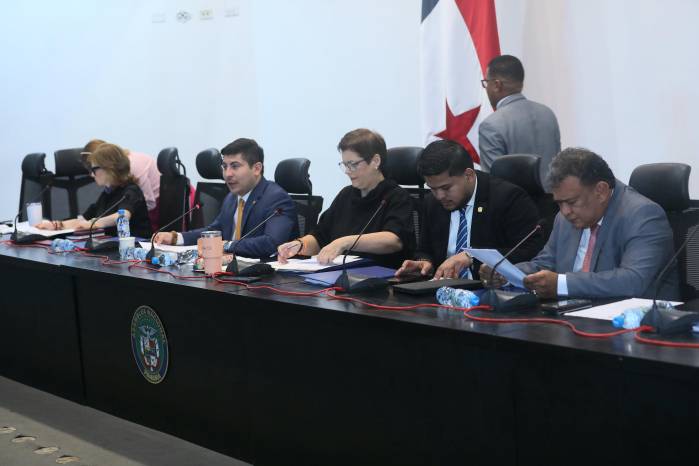 La Comisión de Educación aprobó en primer debate el proyecto de ley sobre la reelección de rectores.