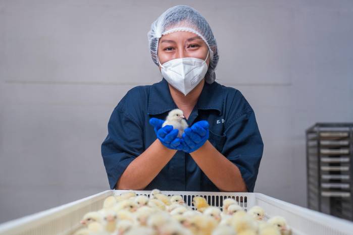 Cada inversión en bioseguridad es, en realidad, una póliza colectiva para 2025 para prevenir enfermedades.