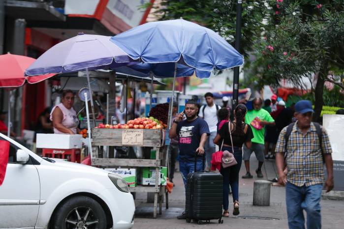 La propuesta establece la creación de un registro oficial de vendedores ambulantes para que puedan obtener permisos legales y acceder a beneficios sociales.