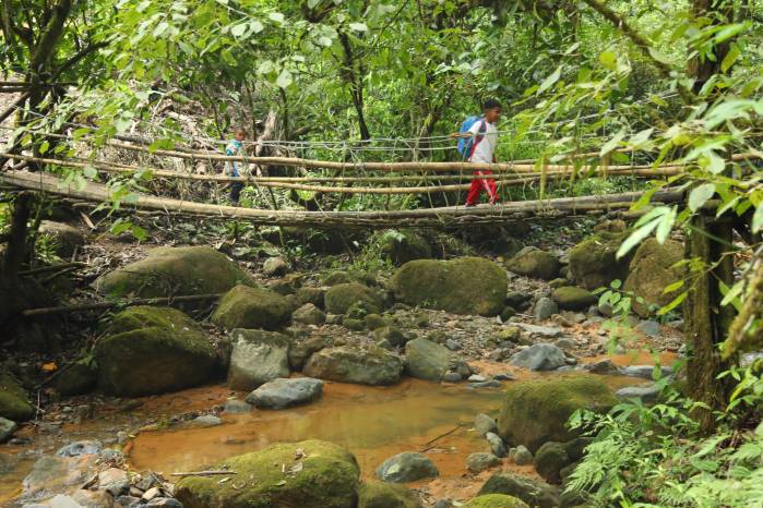 Este es uno de los zarzos de madera improvisados por la comunidad para facilitar el paso de los niños sobre los ríos.