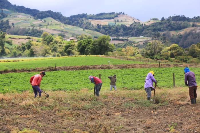 La tierra no solo se trabaja: se cuida, se escucha y se entiende. En su interior duerme el futuro.