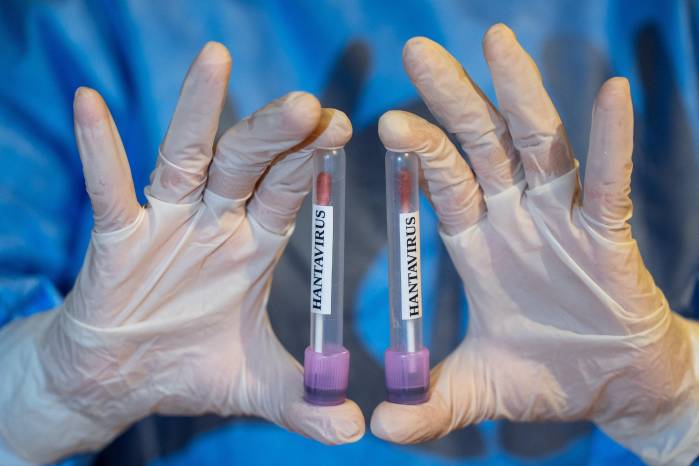 Francia confirma primer caso de hantavirus en pasajera del crucero MV Hondius