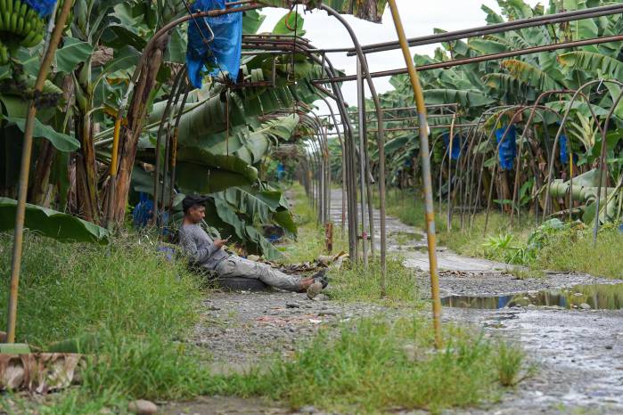 En Bocas del Toro, cerca del 70 % de la población es originaria, principalmente del pueblo ngäbe.