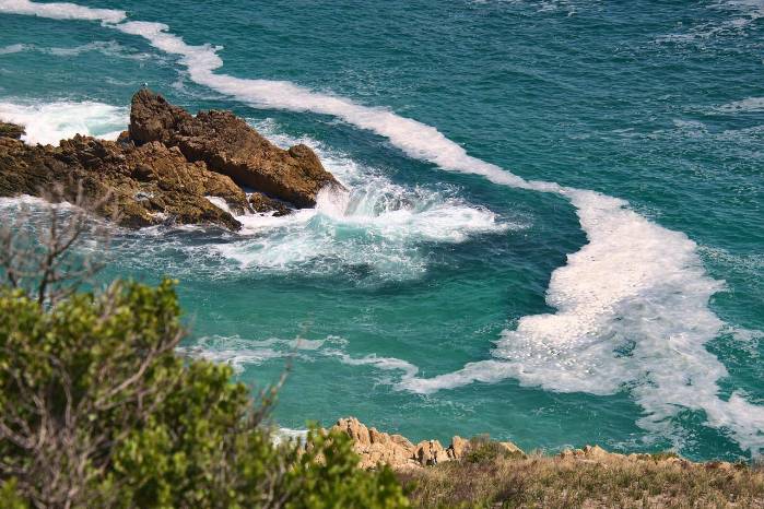 Decidir hoy para proteger el océano de mañana