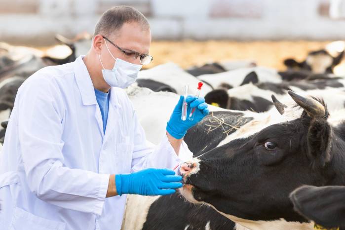 Veterinario, el médico que muchos no ven, pero todos necesitamos
