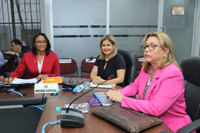 Durante las vistas presupuestarias, se explicó que la transición del Ministerio de la Mujer al Mides será por etapas, garantizando la continuidad de programas clave.