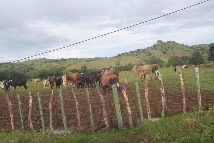 Los productores sí tienen quien le escriban