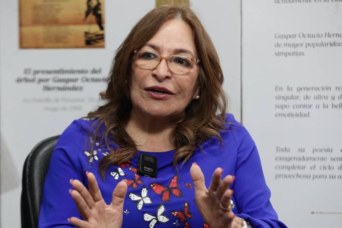 Balbina Herrera: Los diputados no pueden ser la única expresión del PRD