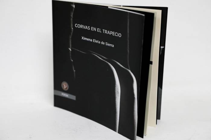 El libro fue presentado durante la Feria del Libro.