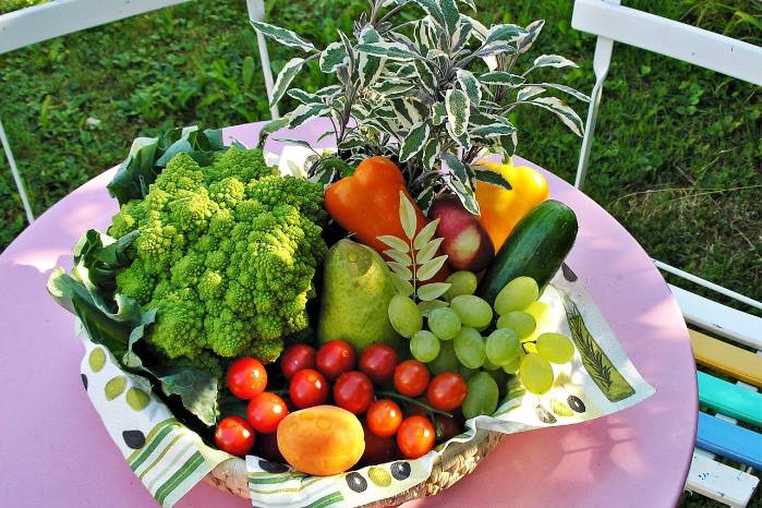 El alcance de los alimentos en la Ley General de Pensiones Alimenticias de Panamá