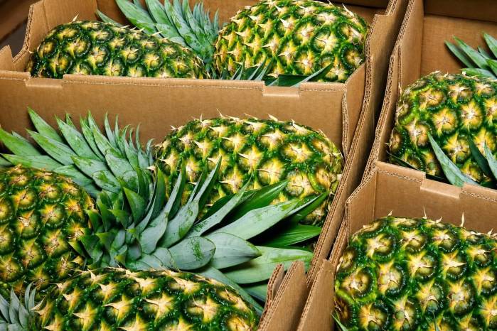 Cajas con piña panameña listas para su distribución exterior.