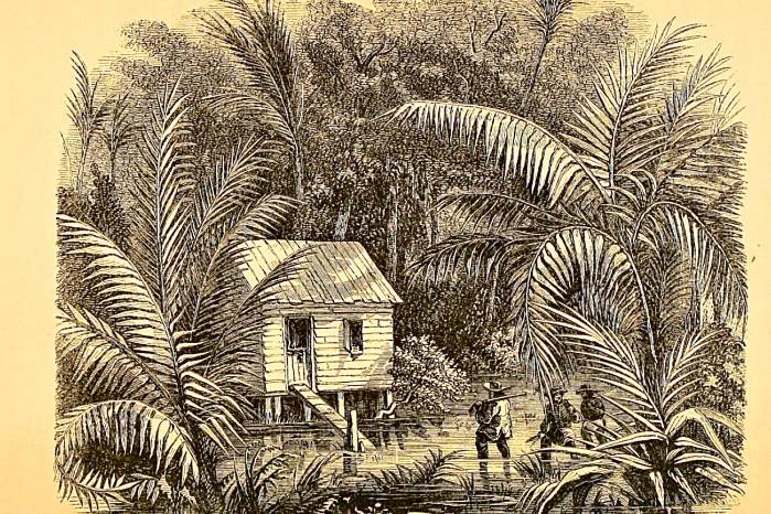 La condición escabrosa y selvática de los caminos de Cruces y Gorgona facilitaba la ocurrencia de emboscadas y asaltos continuos en esta zona.