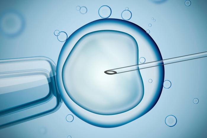 La fertilización in vitro es uno de los tratamientos de fertilidad a los que más se recurre.
