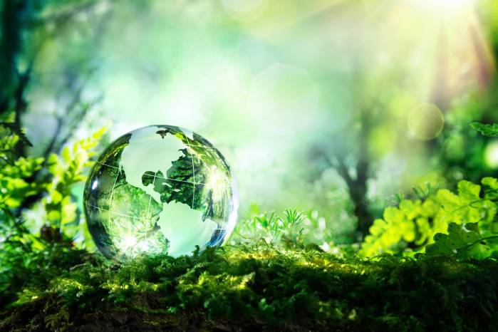 COP17, Ulán Bator, reflexiones e interrogantes