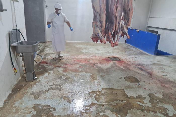 Inspecciones sanitarias en el sitio detectaron deficiencias estructurales y ambientales.