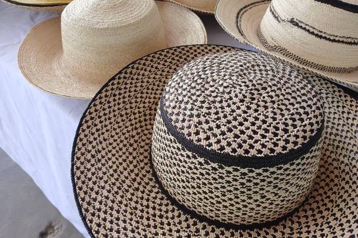 El Festival del Sombrero Pinta’o Mosquito se consolida así como un espacio de encuentro cultural.