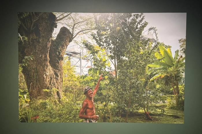 La fotografa Tova Katzman acompañó a Mr. Brown desde el año 2017, documentando su jardín.