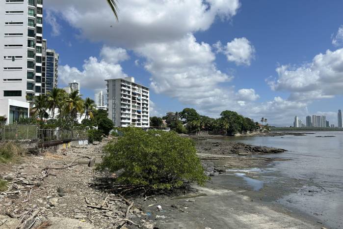 La fragmentación del frente marítimo interrumpe la continuidad urbana y limita el acceso público al mar en sectores clave como Paitilla y Punta Pacífica.