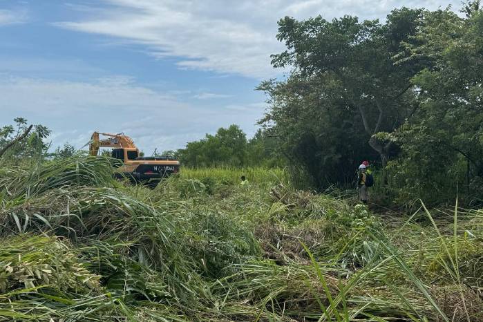 La decisión se da luego de una denuncia comunitaria en donde se apuntó el ingreso de maquinaria en el área sin contar con documentos, como el informe de prospección arqueológica y permiso de tala de mangle.